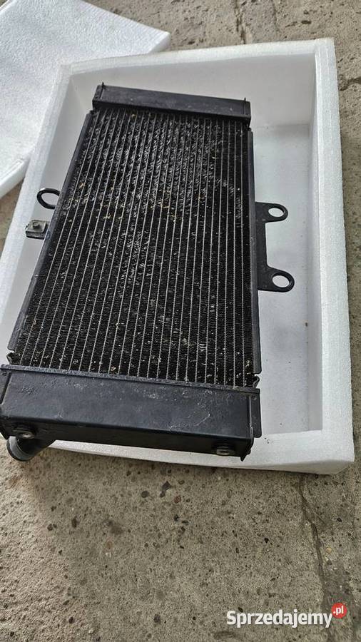 CHŁODNICA SUZUKI gsf 650 OEM wielkopolskie Gościejew sprzedam
