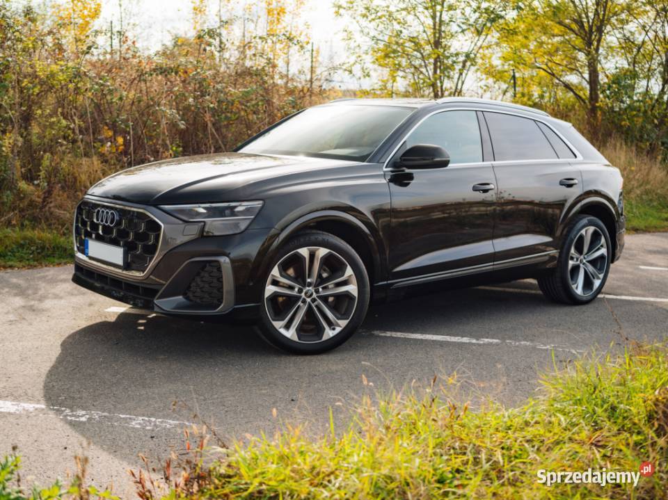 Audi Q8 50 TDI