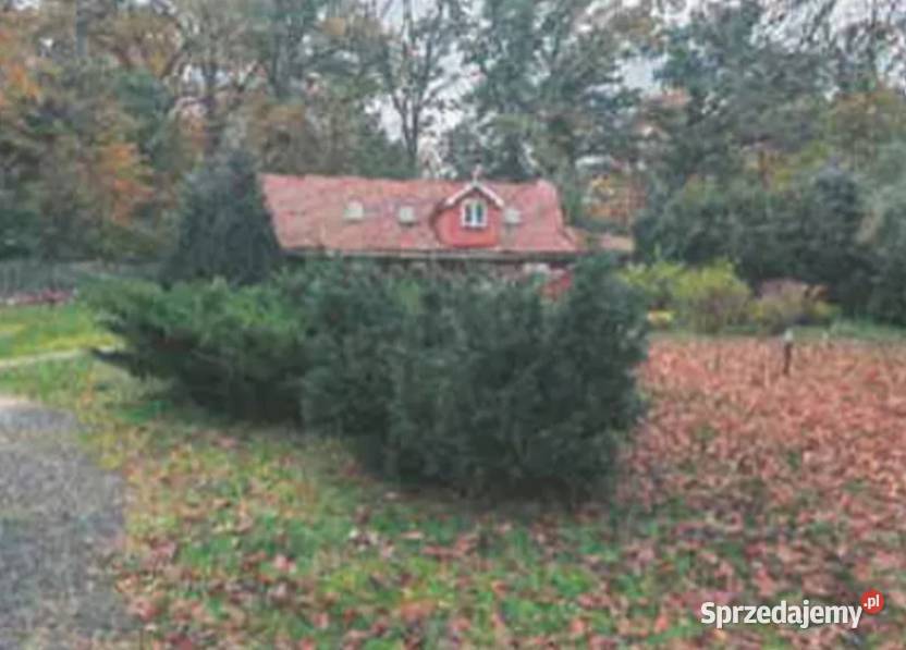 Syndyk sprzeda udział 34 własności nieruchomości 228zł/m2 Jabłoniec sprzedam