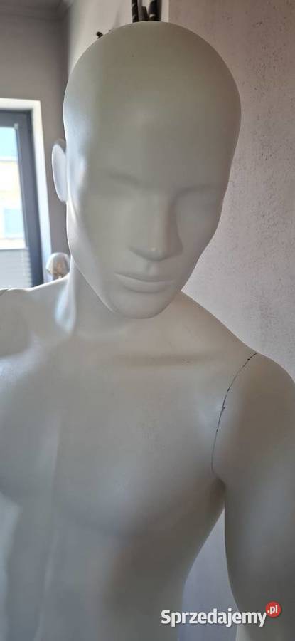 Manekin męski solidny Pozostałe Olkusz