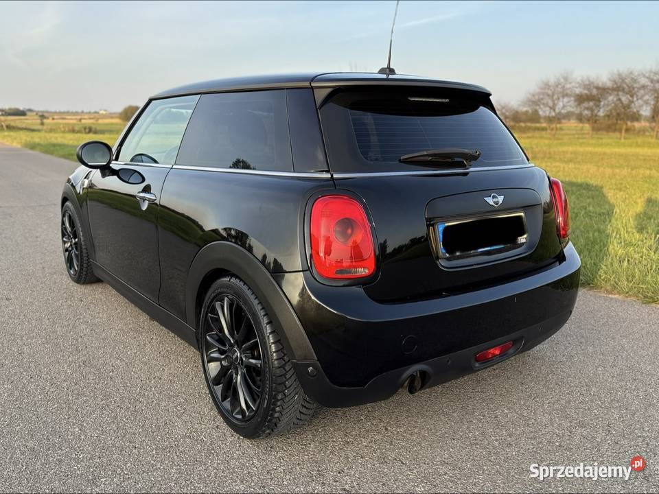 Mini Cooper lubelskie Adamów