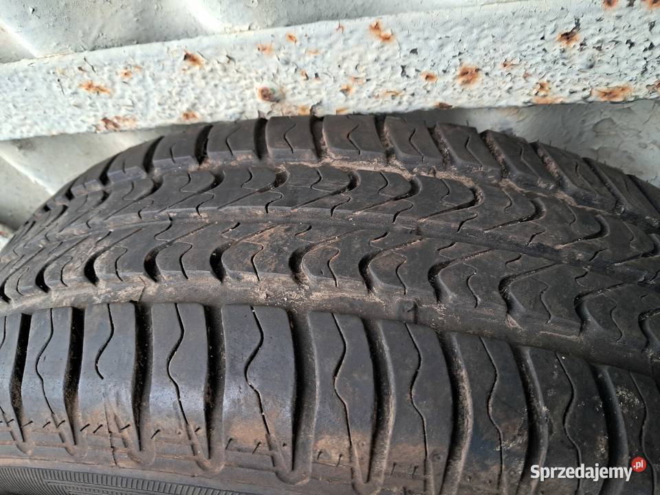 Opony Letnie Dębica 17565r14 2 Szczecin sprzedam