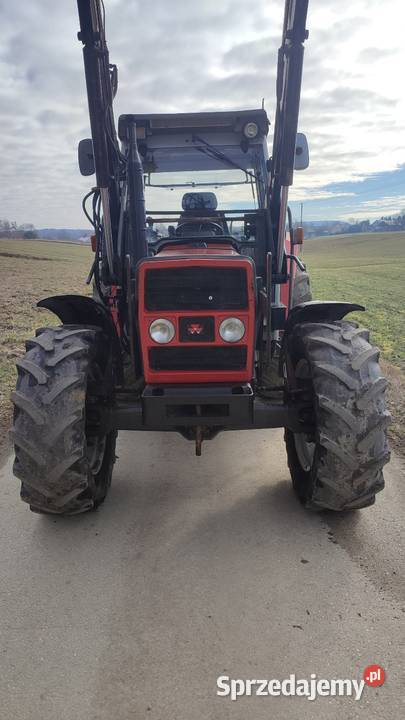 Massey Ferguson 373 oryginał Węchadłów