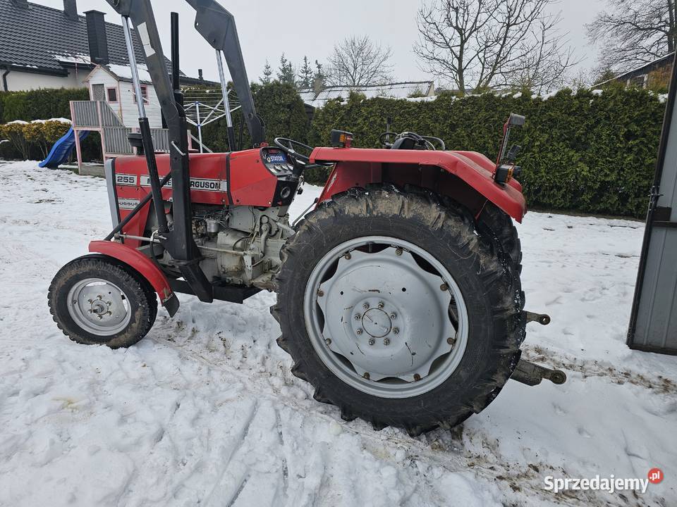 Massey ferguson mf 255 Sieradz