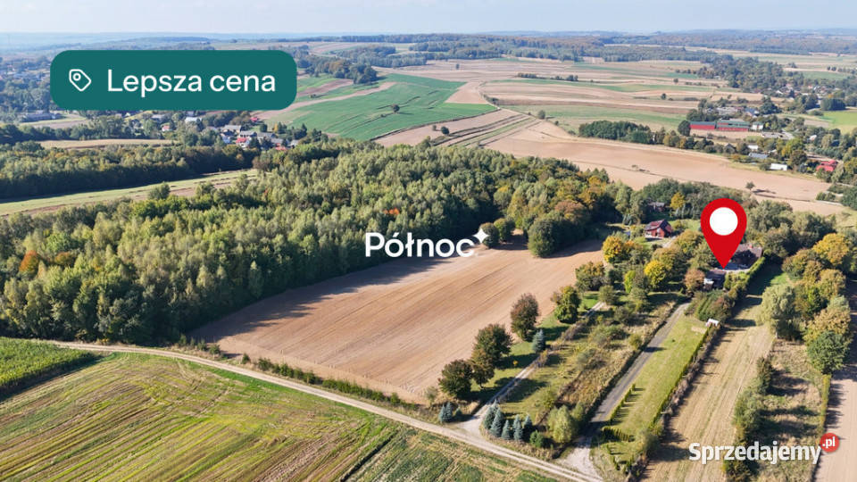 Siedlisko z dużą działką 20 min Zamościa Drewniki