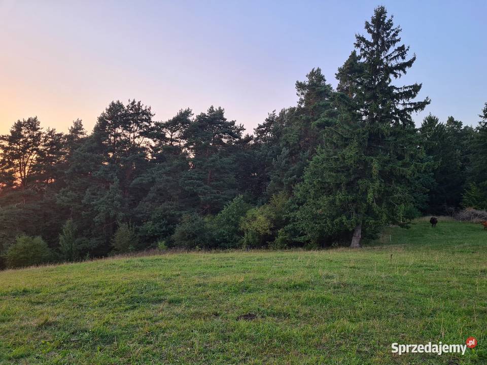 Budowlana jeziorem 154zł/m2