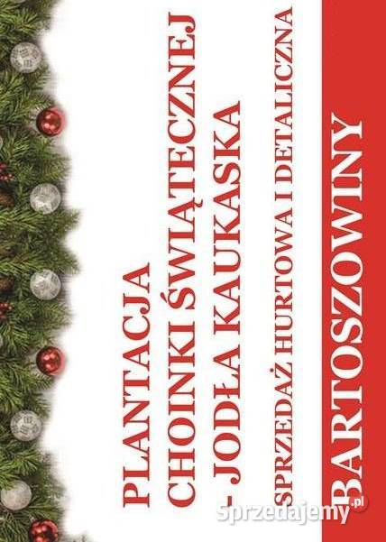 CHOINKI Jodła Kakuaska 1M35M Bartoszowiny