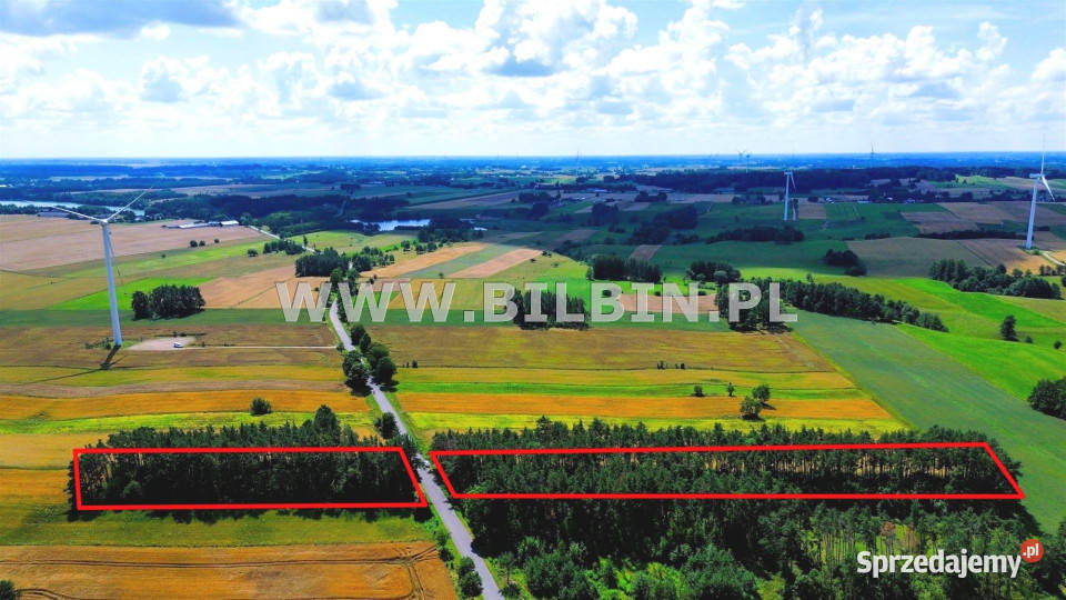 Grunt Morgi 9101m2 podlaskie sprzedam