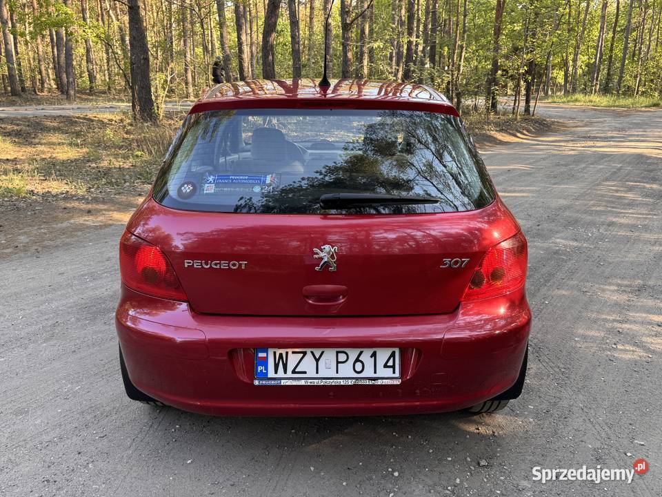 Paugeot 307 wyjątkowy egzemplarz mazowieckie Żyrardów