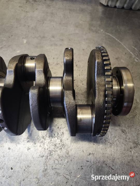 Wal korbowy 19 tdi śląskie Międzyświeć sprzedam