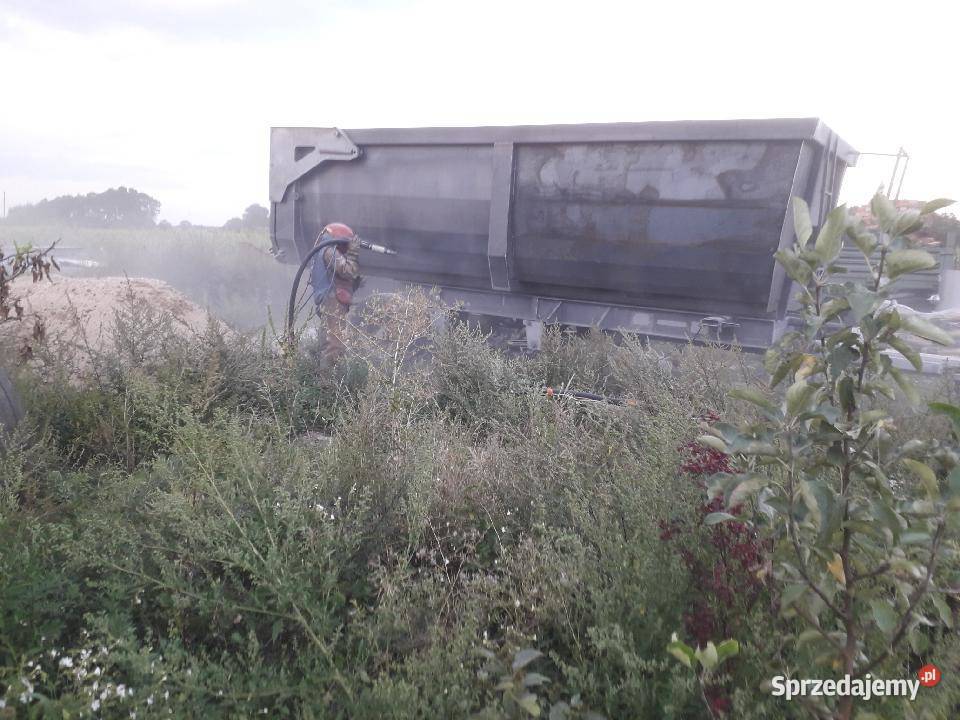 dyszel resorowany przyczepy tandem Białoskóry