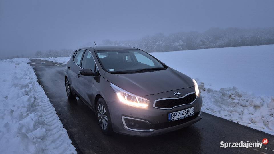 Kia Ceed 16 benzyna bezwypadkowy salon polska Jawornik Polski