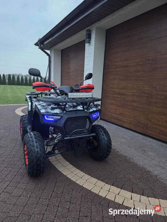 Quad ATV 125cc Rok produkcji 2025 Motoryzacja warmińsko-mazurskie Cibórz