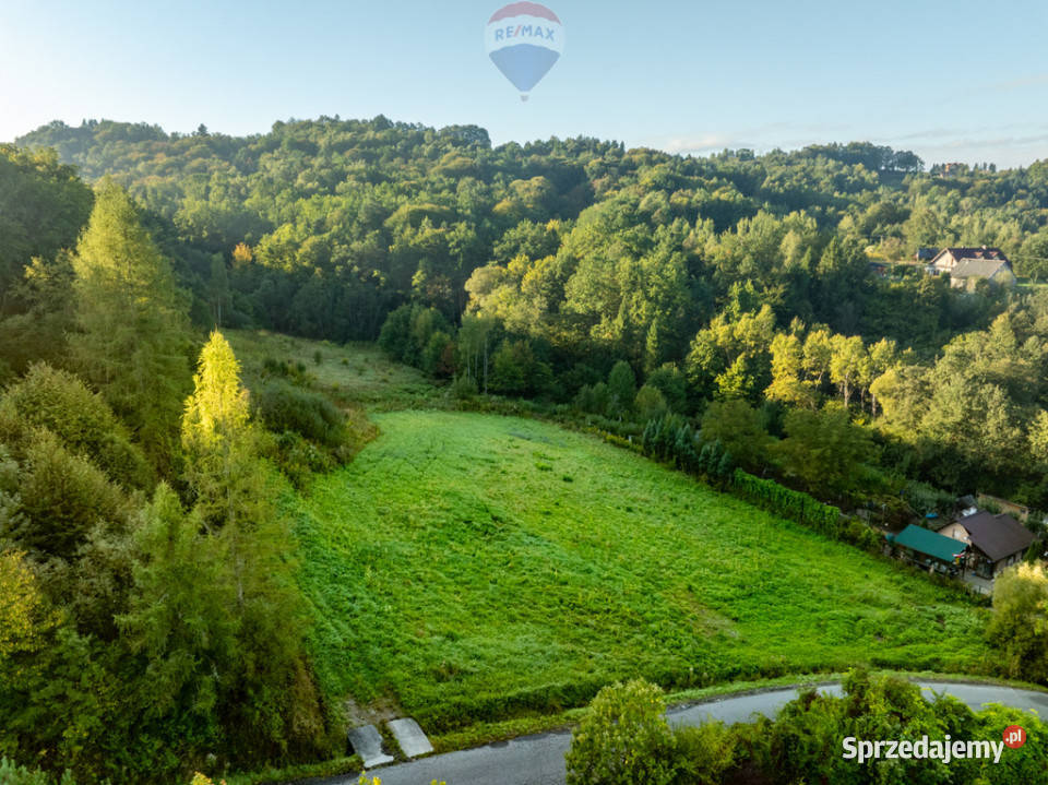 Działka 14 ha Włosań gmina Mogilany siedliskowa sprzedam