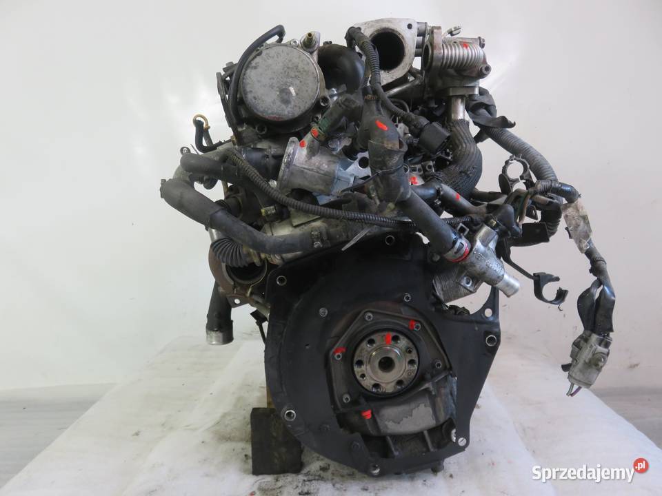 SILNIK SUZUKI SX4 19 DDiS 120 D19AA KOMPLETNY