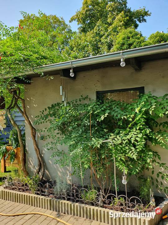 Sprzedam dom bez pośredników PUSZCZYKOWO