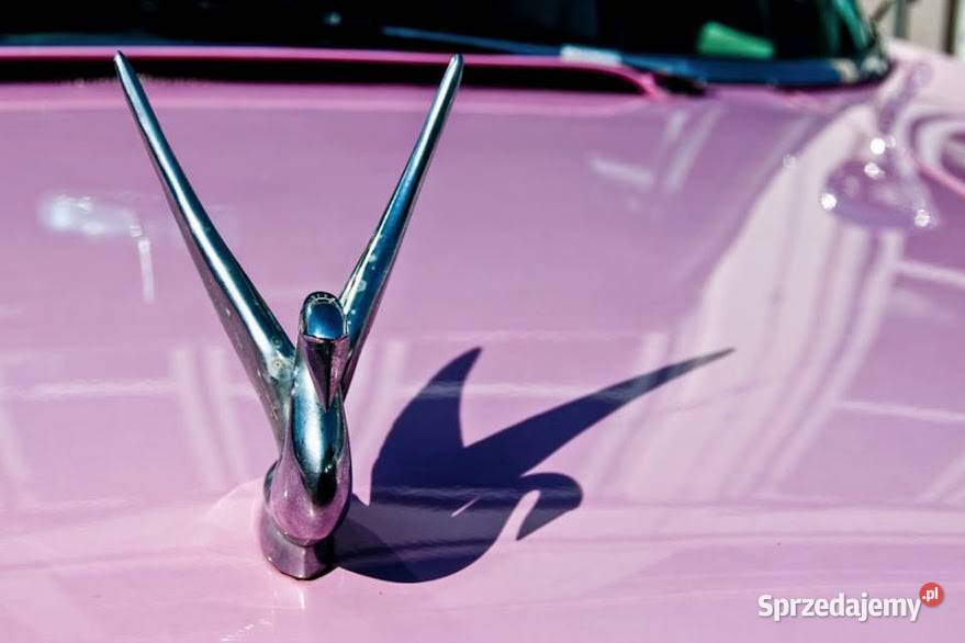 Samochód zabytkowy AMC Rambler Six 1959r