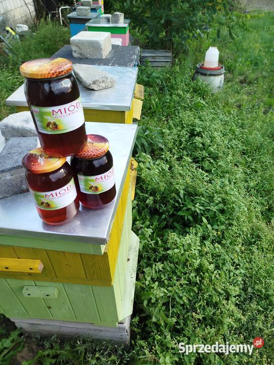 Sprzedam miód wielokwiatowy Koziegłowy