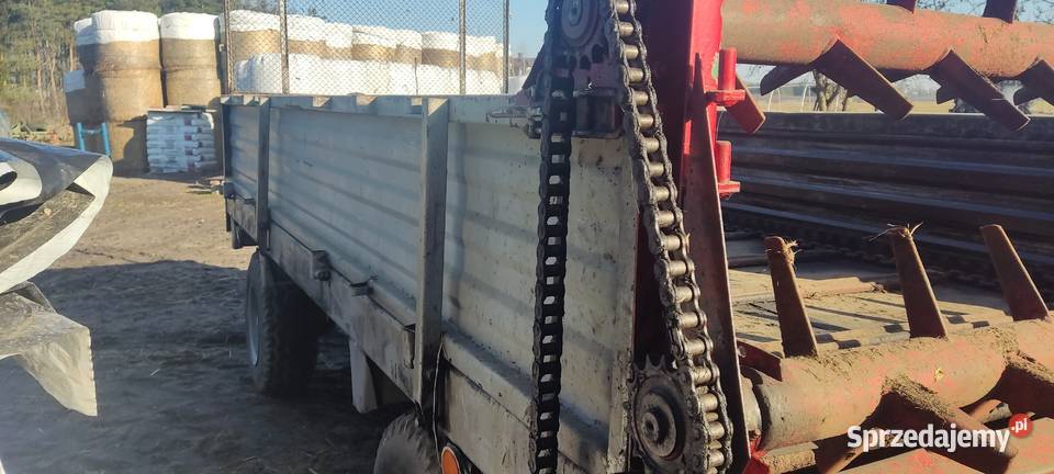 Rozrzutnik wielkopolskie