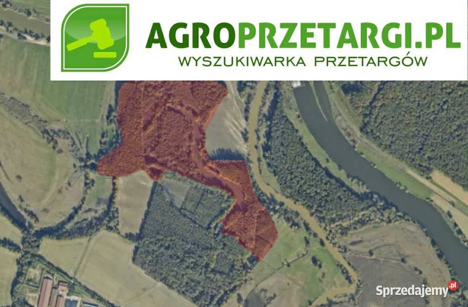 Dzierżawa 526 ha zbiornika wodnego Brzeg sprzedam