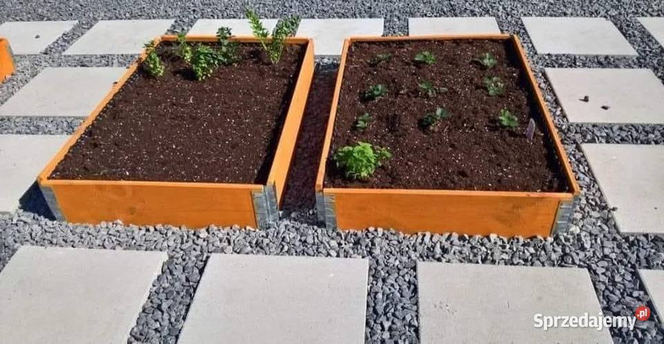 Warzywniak kompostownik rabatnik śląskie Gostyń