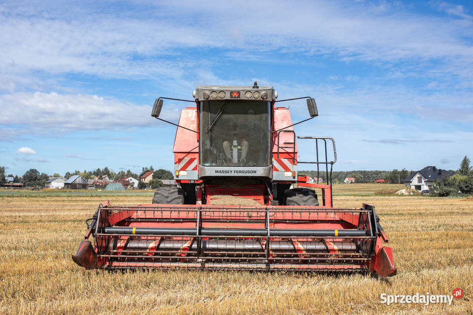 Massey Ferguson 7250 Zbożowe Reducin