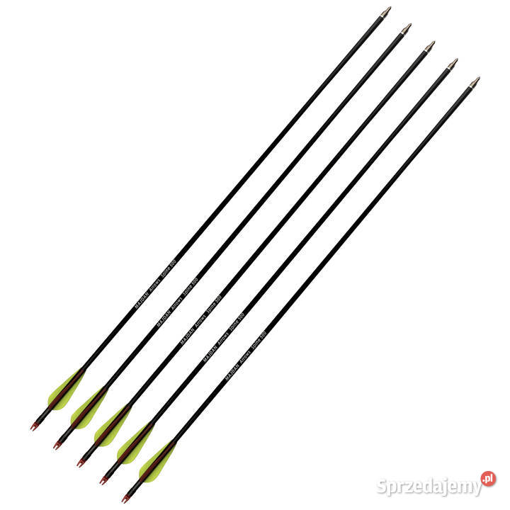 Strzały do łuku wykręcane groty strzała 10 sztuk Nowy Sącz