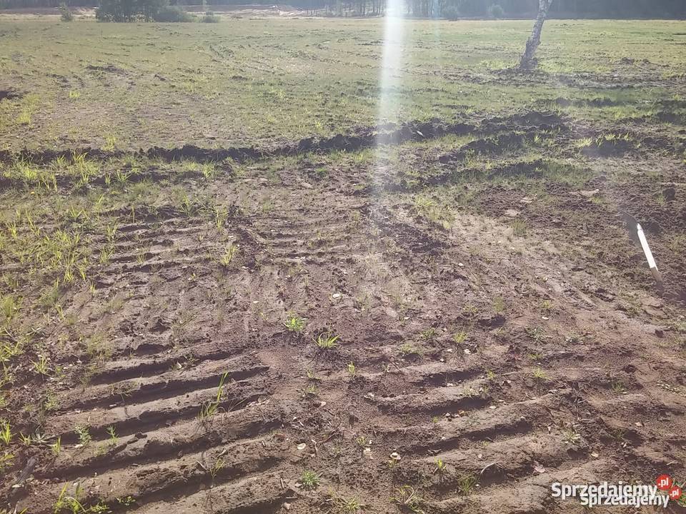 Działka k Kołobrzegu 248ha Sprzedaż Dzierżawa