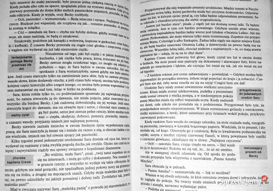 Mała księżniczka Frances Hodgson Burnett Chełm