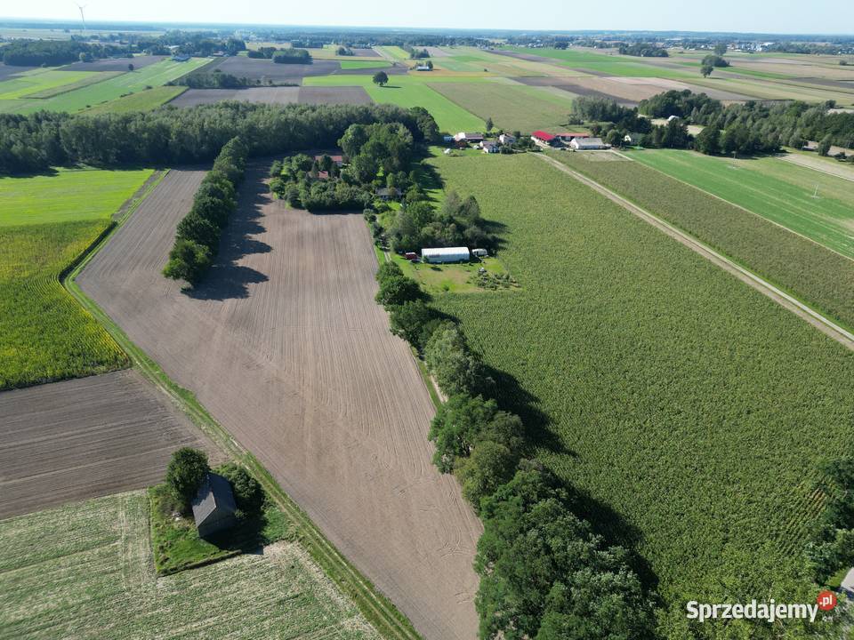 Podrogów piękne działki z WZ w spokojnej okolicy Sokołów Podlaski