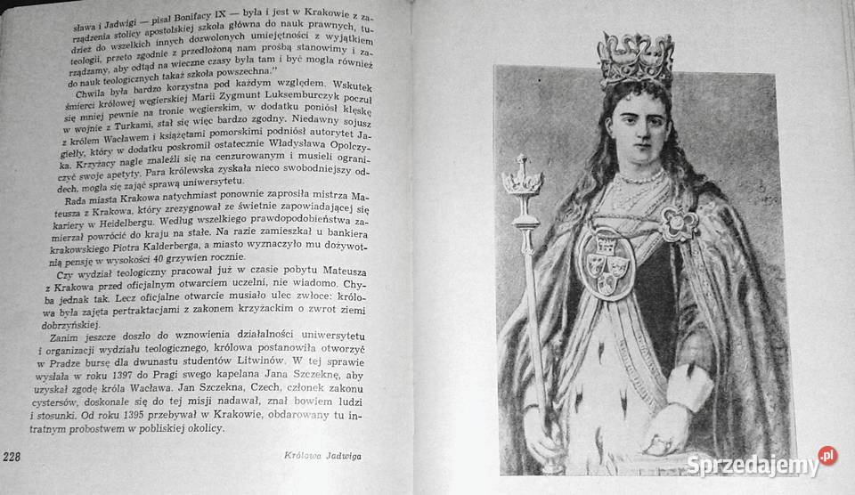 Królowa Jadwiga Opowieść o czasach i ludziach twarda Chełm