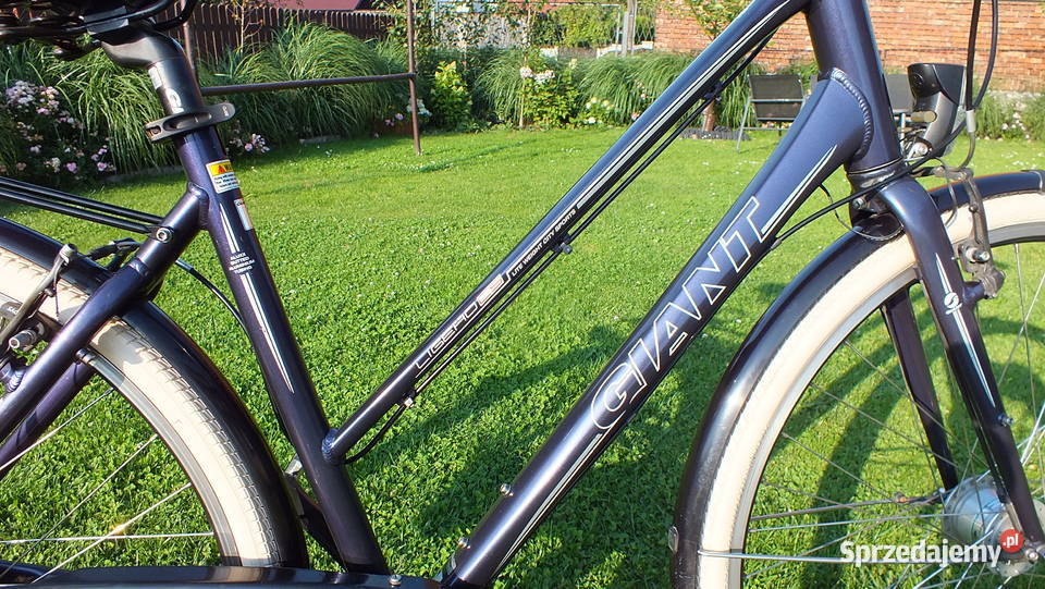 Fajny Niemiecki Rower GIANT LIGERO Shimano NEXUS Rowery Liszki