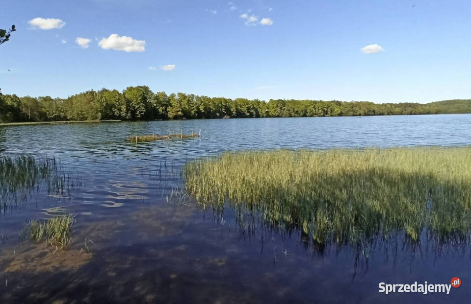 Działka budowlana 900 m Kamienica Królewska 169zł/m2 Grunty i działki pomorskie