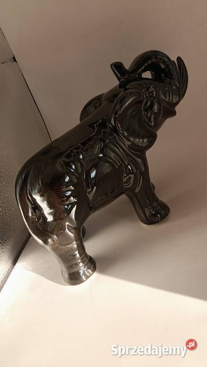 Duży czarny słoń z trąbą do góry i krocząca Zamość