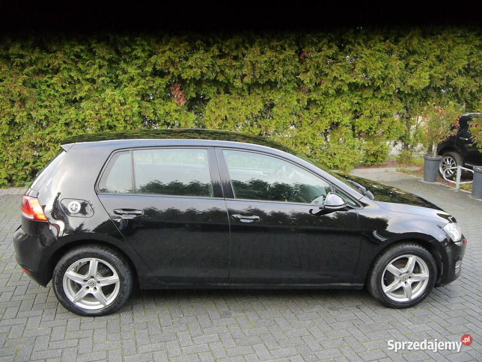 Volkswagen Golf 16tdi 170 Stan b 100bezwypadkowy