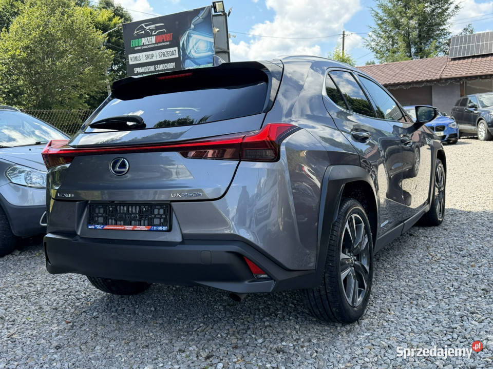 Lexus UX 250 Hybrid Skóra Ful LED Premium autoalarm śląskie Łodygowice sprzedam