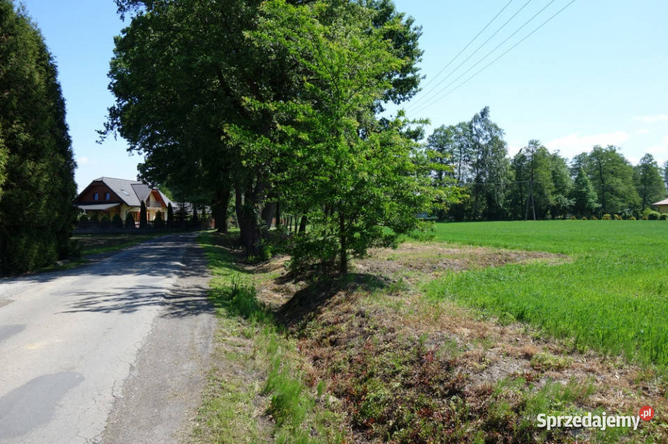 Skoczów Ochaby 157ha z częścią budowlaną 55ar i asfalt śląskie sprzedam