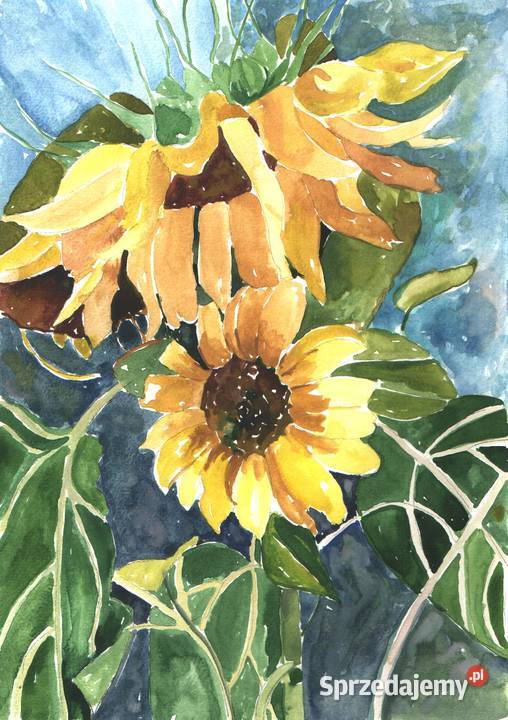 OBRAZ akwarela KWIATY Gryfów Śląski