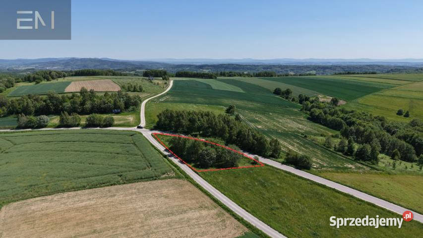 Działka 1214m2 Jaszczurowa asfalt podkarpackie