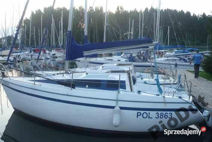 Pegaz 737 dobra Piaski sprzedam