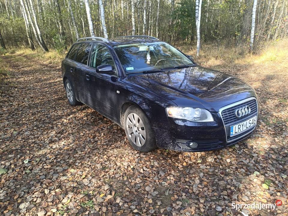 Audi a4b7 Terespol