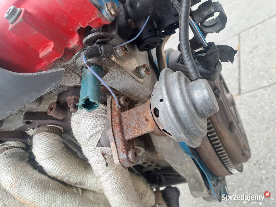 Volkswagen Golf IV 14 16v silnik kompletny kod Części samochodowe śląskie Jastrzębie-Zdrój sprzedam