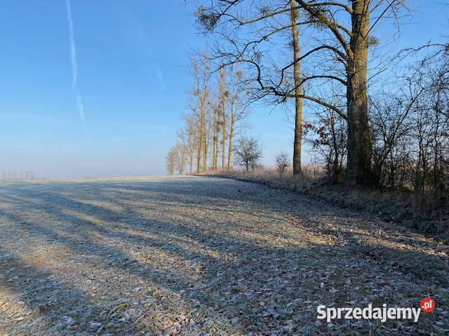 Syndyk sprzeda Nieruchomości w Sownie Sowno