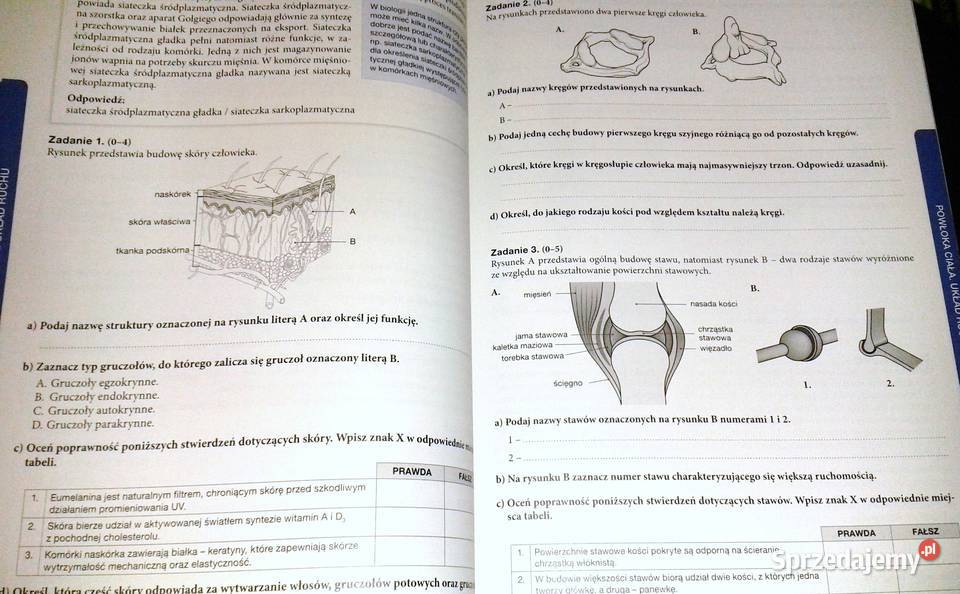 Teraz matura Biologia Zadania i arkusze lubelskie Chełm