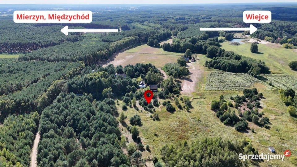 Działka w lesie 3006 m pozwolenie na budowę Nieruchomości Piłka