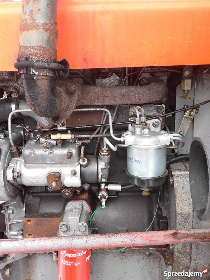 Massey Ferguson 255 Potok Wielki