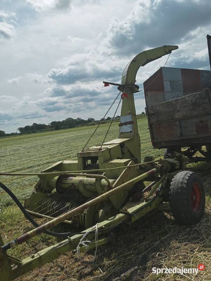 Sieczkarnia Claas jaguar Sieczkarnie Janków