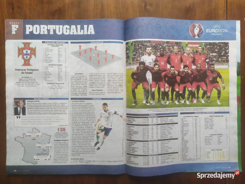 Skarb kibica Euro 2016