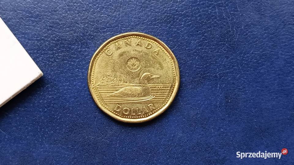 Stare monety 1 dolar 2019 Kanada Lesko