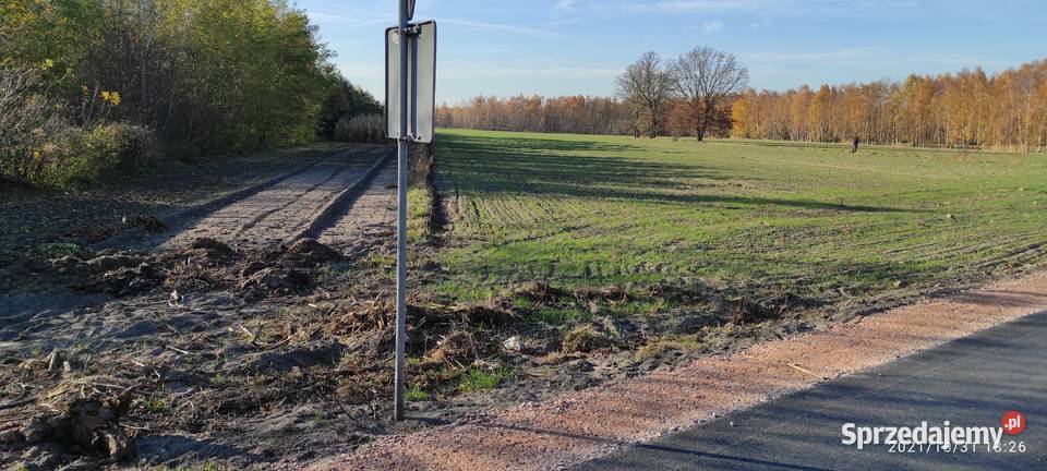 Działka rolnobudowlana 15000m 50m Kożuszki-Parcel